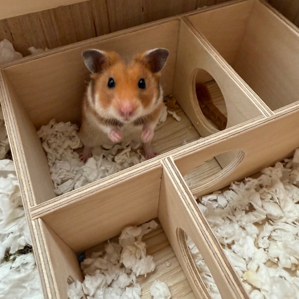 Meet your Posher, Kari